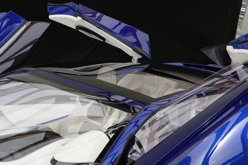 シースルータイプのルーフを使ってキャビンに開放感を与えている