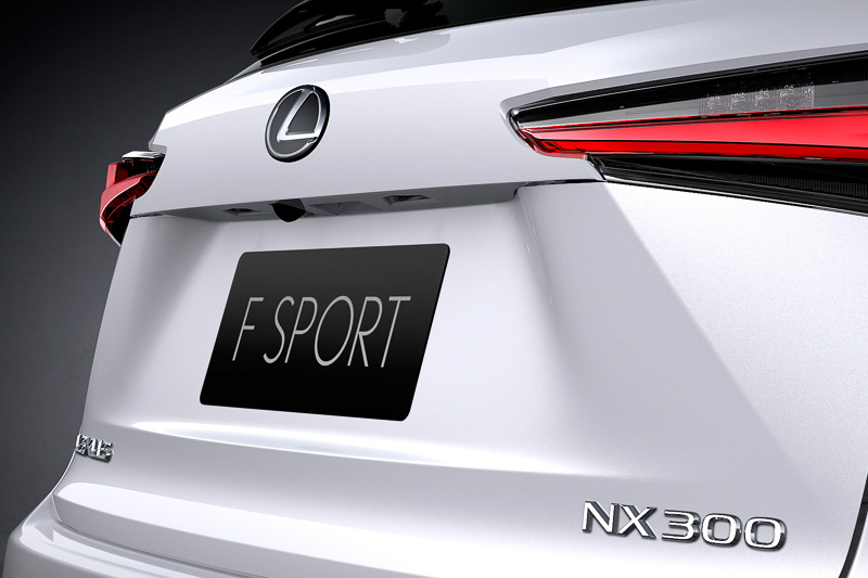 マイチェンを機に、直列4気筒DOHC 2.0リッターターボ搭載車の車名が「NX300」に変更される