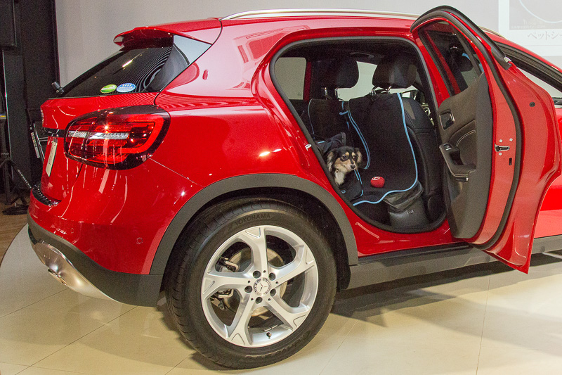 アクセサリーの紹介にはモデル犬も登場。ペットシートカバー、ペットキャリーなどを装備したGLA 180にモデル犬を座らせ、両手で持ったペットカートをフットトランクオープンナーを利用してラゲッジスペースに入れるパフォーマンスを実演