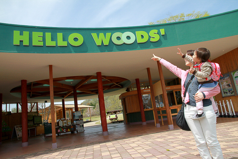 続いて訪れたのは大きな森があるハローウッズ。ここに長さ561mのジップラインがあります