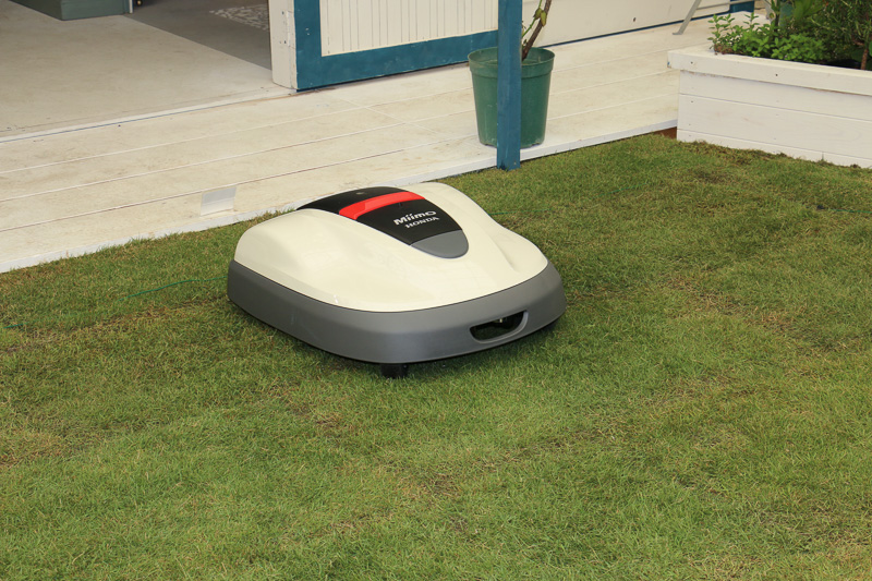 芝生の庭でMiimoのデモンストレーションも行なわれる