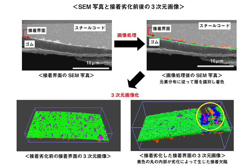 接着界面のSEM写真と3次元画像による接着劣化前後の様子