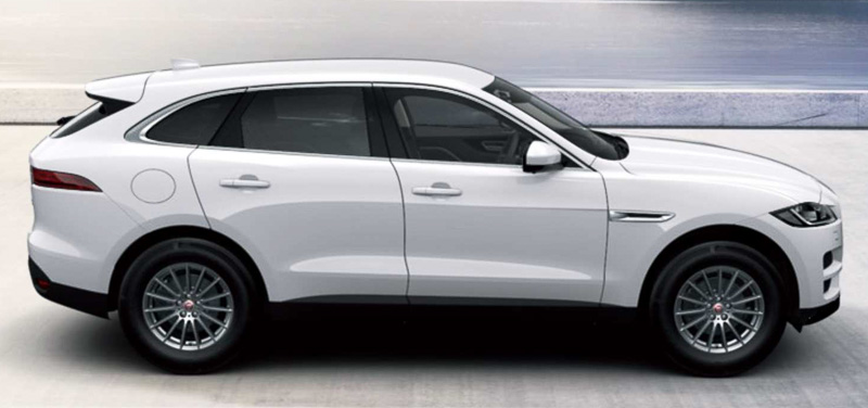 「ポラリスホワイト」