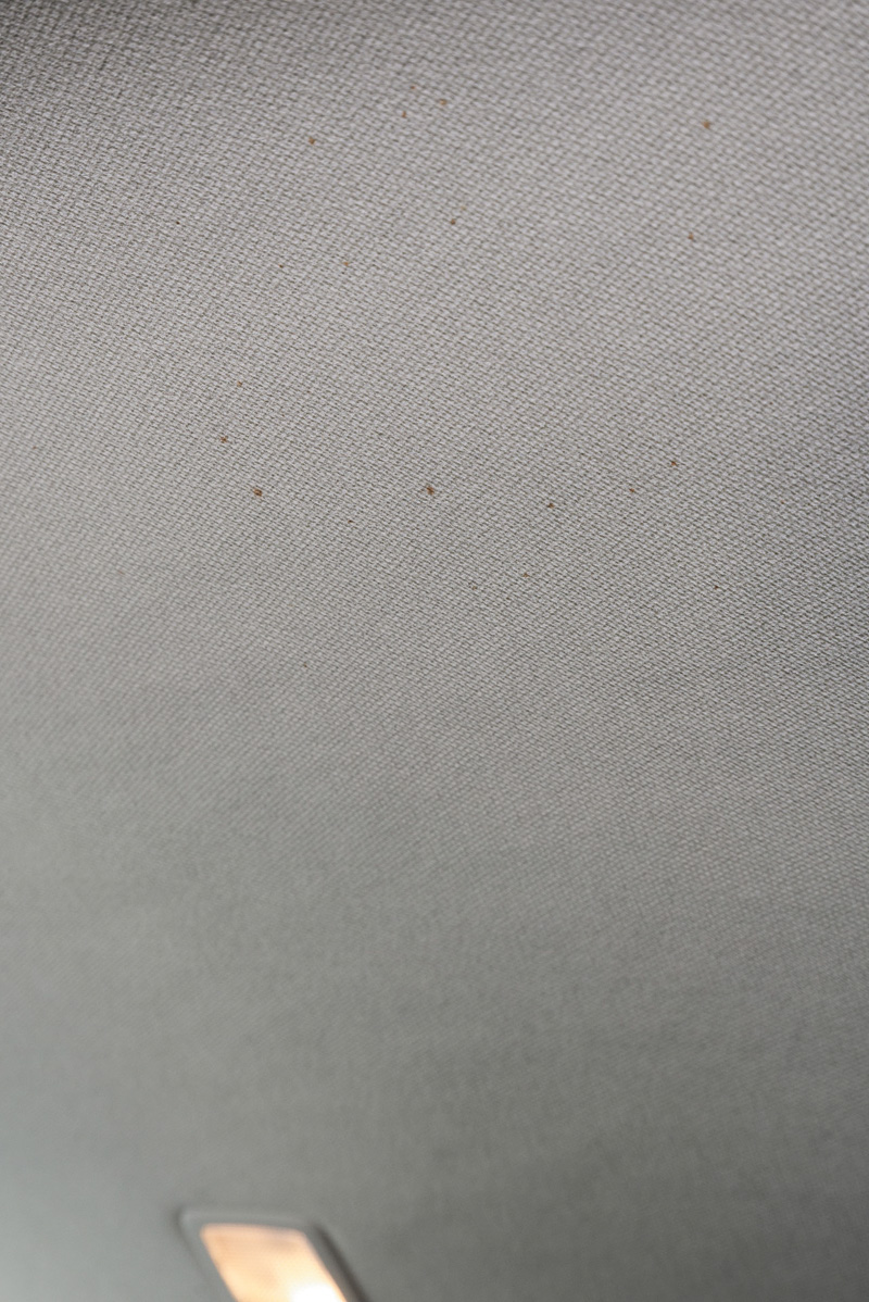 赤い点々が、この写真の上半分に見えるだろうか