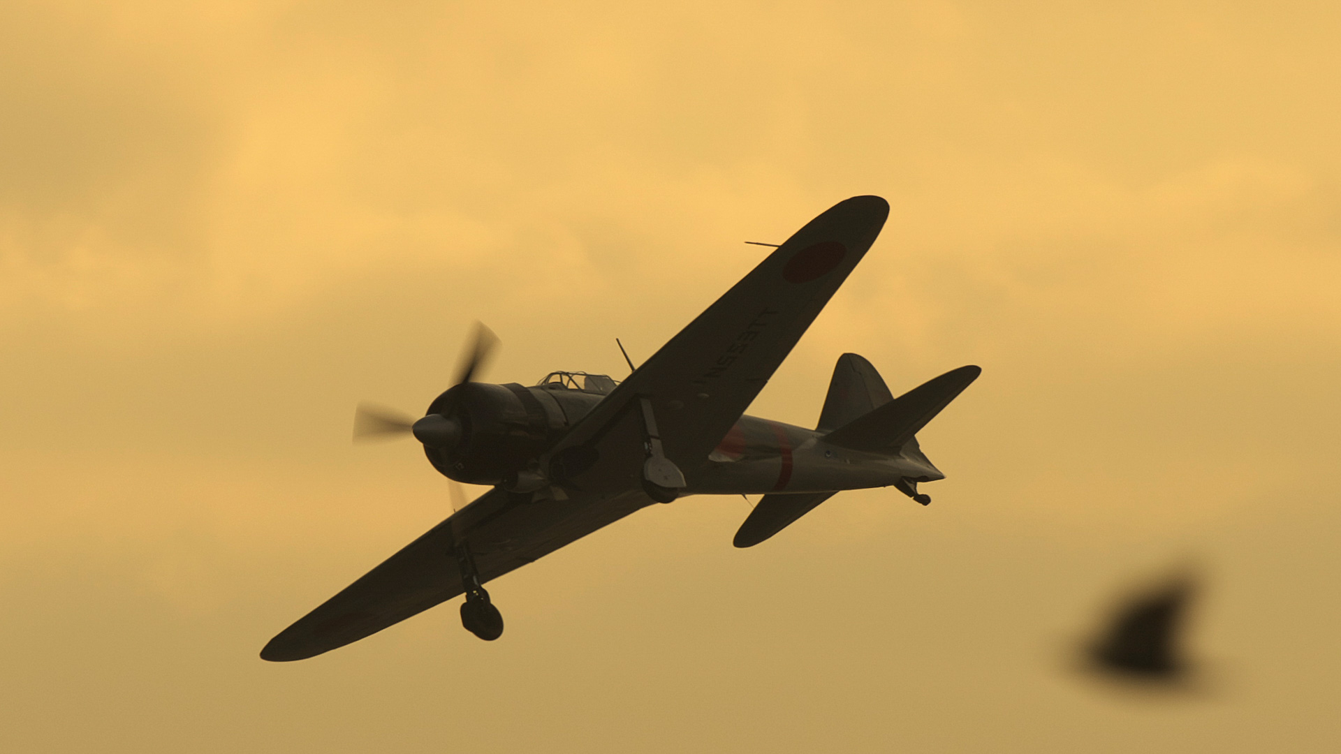 6月3日の飛行。17時30分ごろ