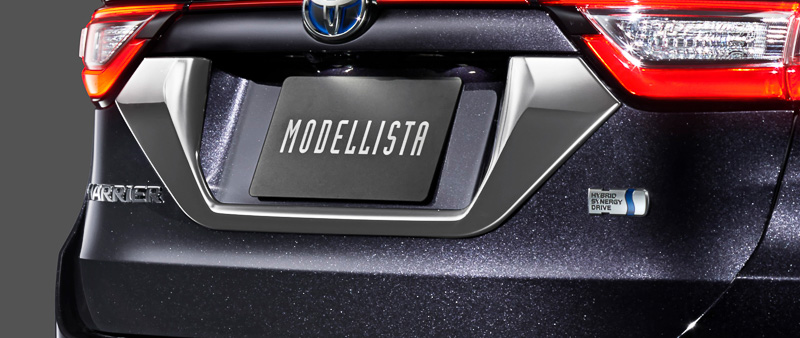 バックドアガーニッシュ3万240円