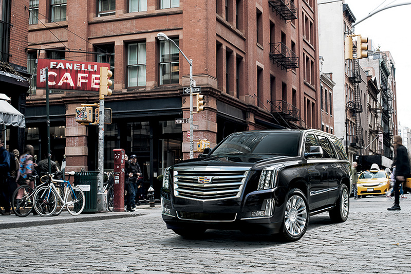 「セーブルブラック」