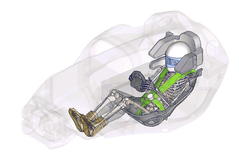 THUMS（WECモデル）