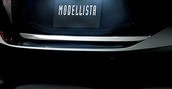 バックドアガーニッシュ（メッキ）：1万2960円