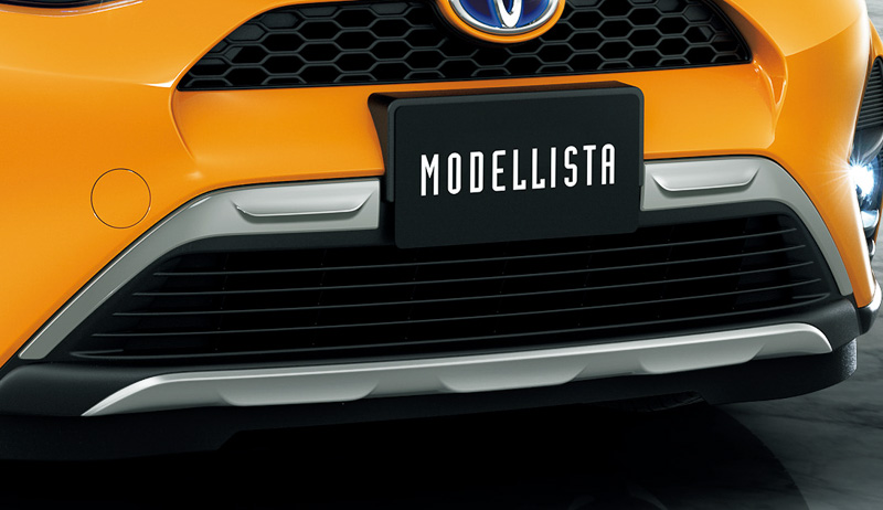 フロントグリルガーニッシュ（金属調）：2万7000円