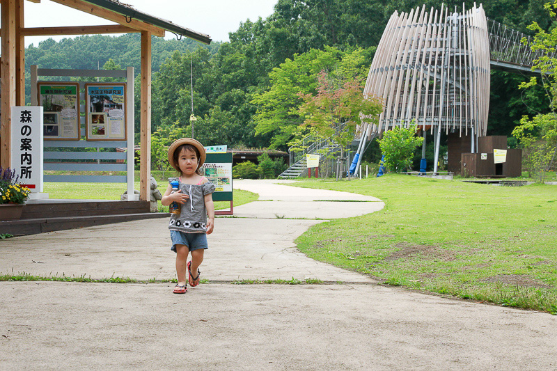 ツインリンクもてぎの中にあるハローウッズの森は、ウッドチップの敷き詰められた散策路や棚田などもある自然と触れ合える森です
