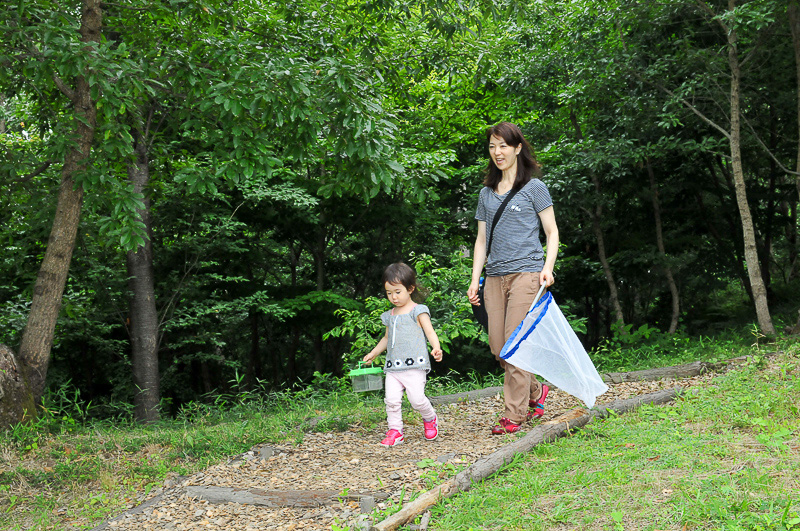 ウッドチップが敷かれたふかふかの道は歩きやすくて安心