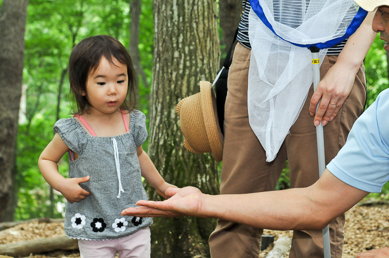 初めて見る虫にちょっとおっかなびっくりの和奏