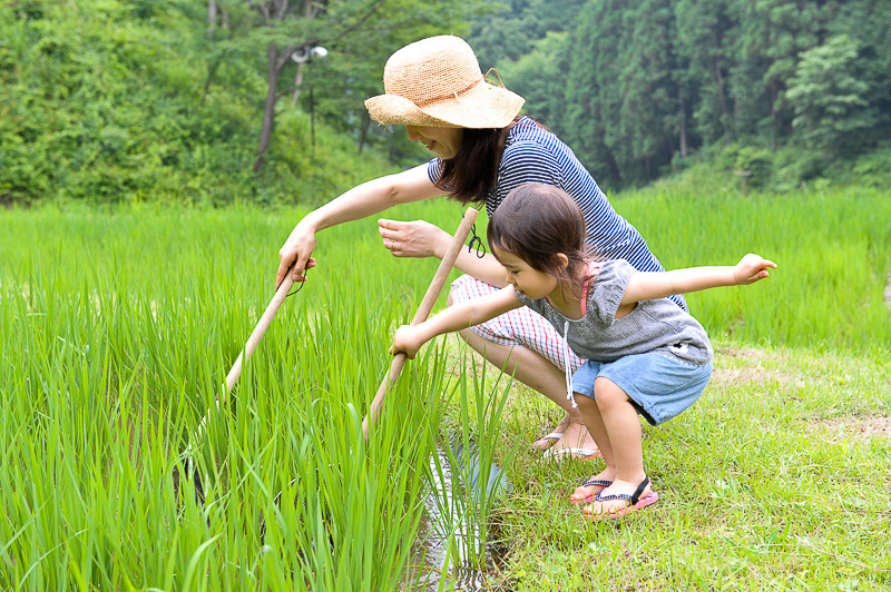 和奏といっしょにオタマジャクシ取りを楽しみました