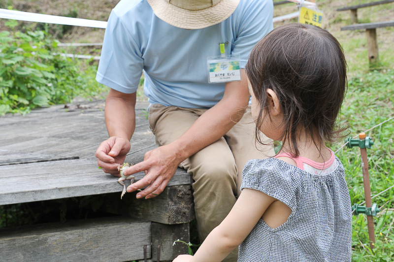 捕まえた大きなカエルに奥山さんが魔法を掛けると……