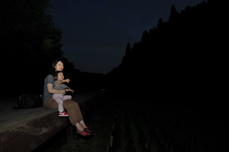 ウッドデッキに腰掛けて暗くなるのを待つと、奥の森にホタルの光がちらほら