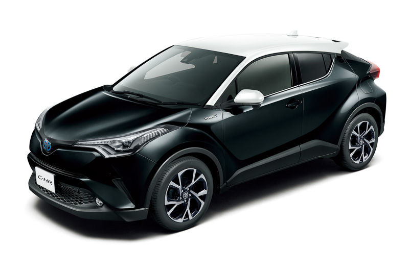 ホワイト×ブラックマイカ