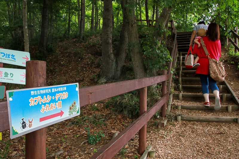 夏休み特別企画 カブトムシ・クワガタ ふれあい館の看板