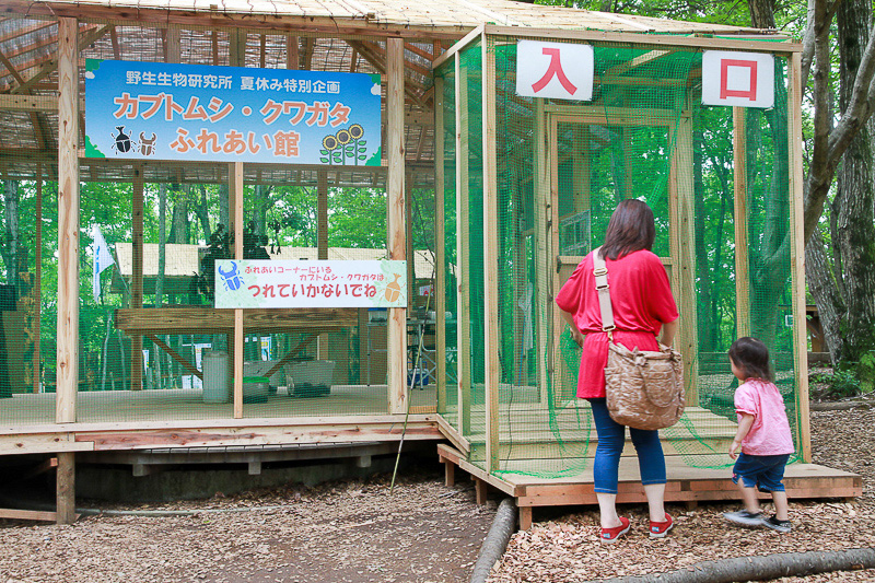 カブトムシ・クワガタ ふれあい館
