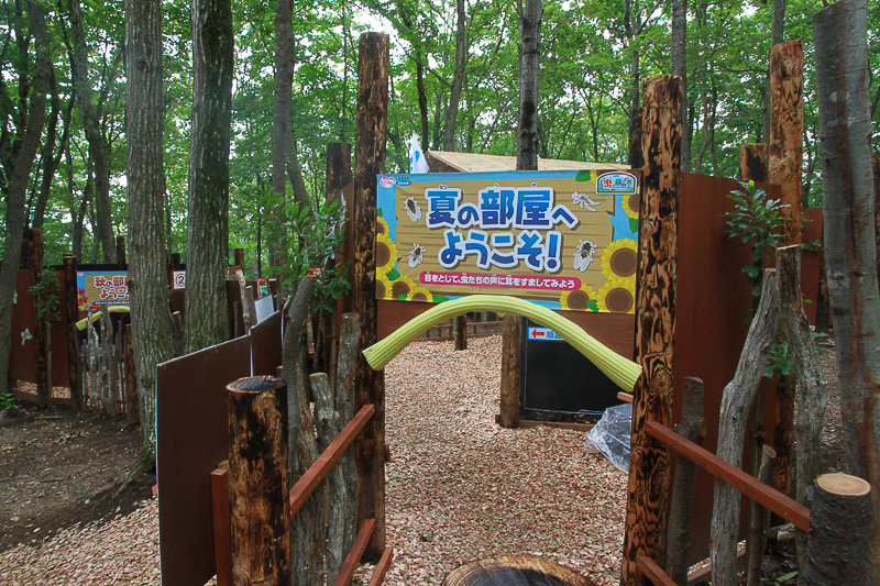 いろいろな虫の鳴き声が聞ける「虫の音色館」