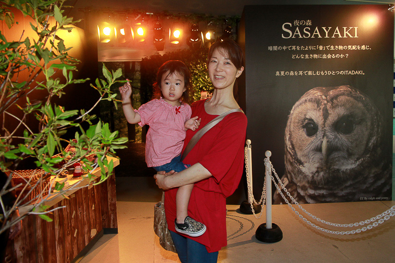 真っ暗な夜の森を疑似体験できる「SASAYAKI」。とっても人気なんだとか