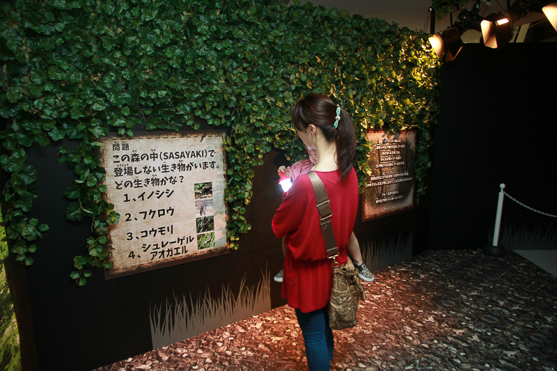 森の中にはどんな生き物が隠れているのかな？