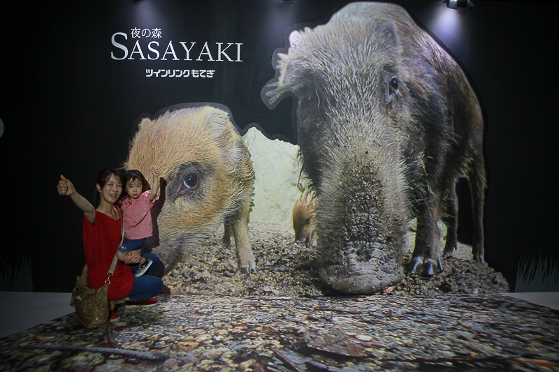 フォトスポットで撮影。まるで小人になった気分です