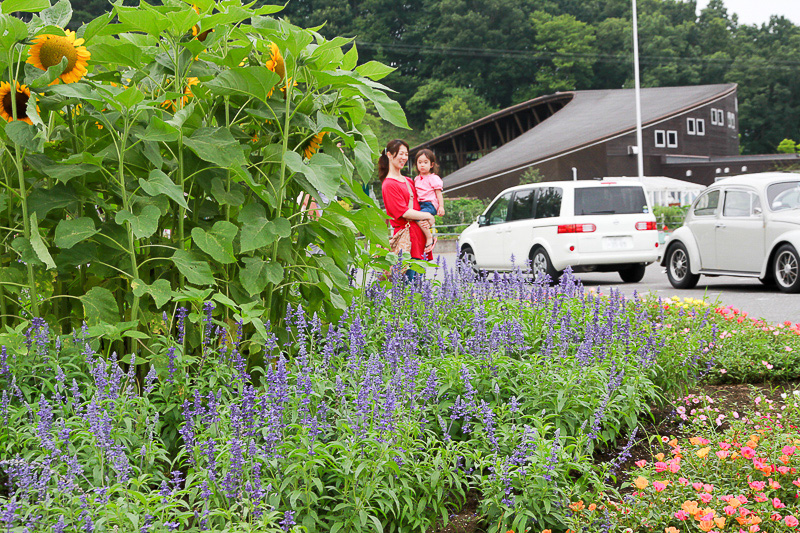 すっかり夏を満喫しました