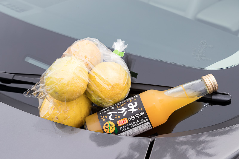 道の駅 伯方S・Cパーク内の「マリンオアシスはかた」で購入できる塩味のソフトクリーム「伯方の塩ソフト」（Sサイズ250円、レギュラーサイズ350円）。レモンやミカンジュースなど柑橘系の商品も豊富にラインアップ