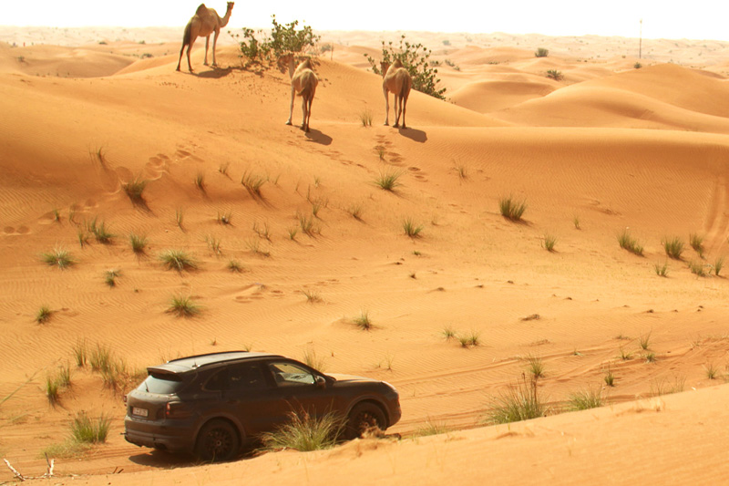 ドバイでのテスト