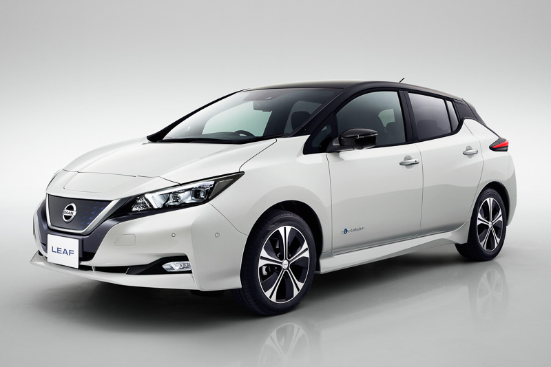 新型リーフ