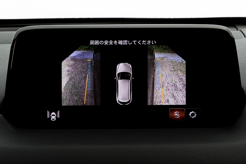 360°ビュー・モニターの表示