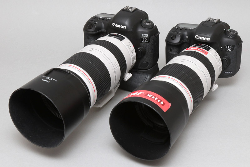 右がEOS 7D Mark II＋EF100-400mm F4.5-5.6L IS II USM（写真は筆者の私物）。左がEOS 5D Mark IV（バッテリグリップ付）＋EF100-400mm F4.5-5.6L IS II USM