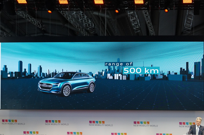 シュタートラー氏のそのほかのスライド