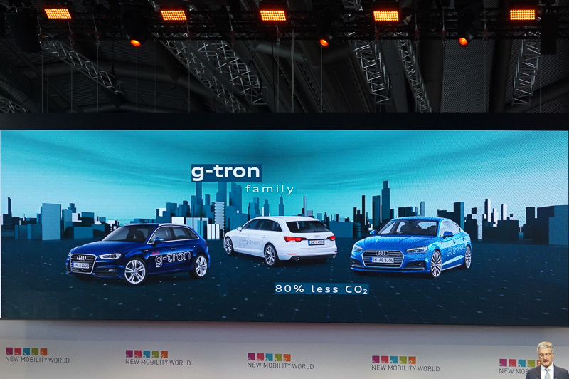 シュタートラー氏のそのほかのスライド