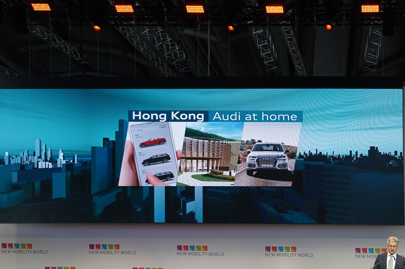 シュタートラー氏のそのほかのスライド