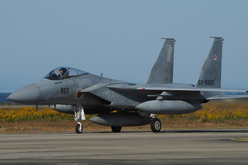 第9航空団 第304飛行隊所蔵のF-15J戦闘機