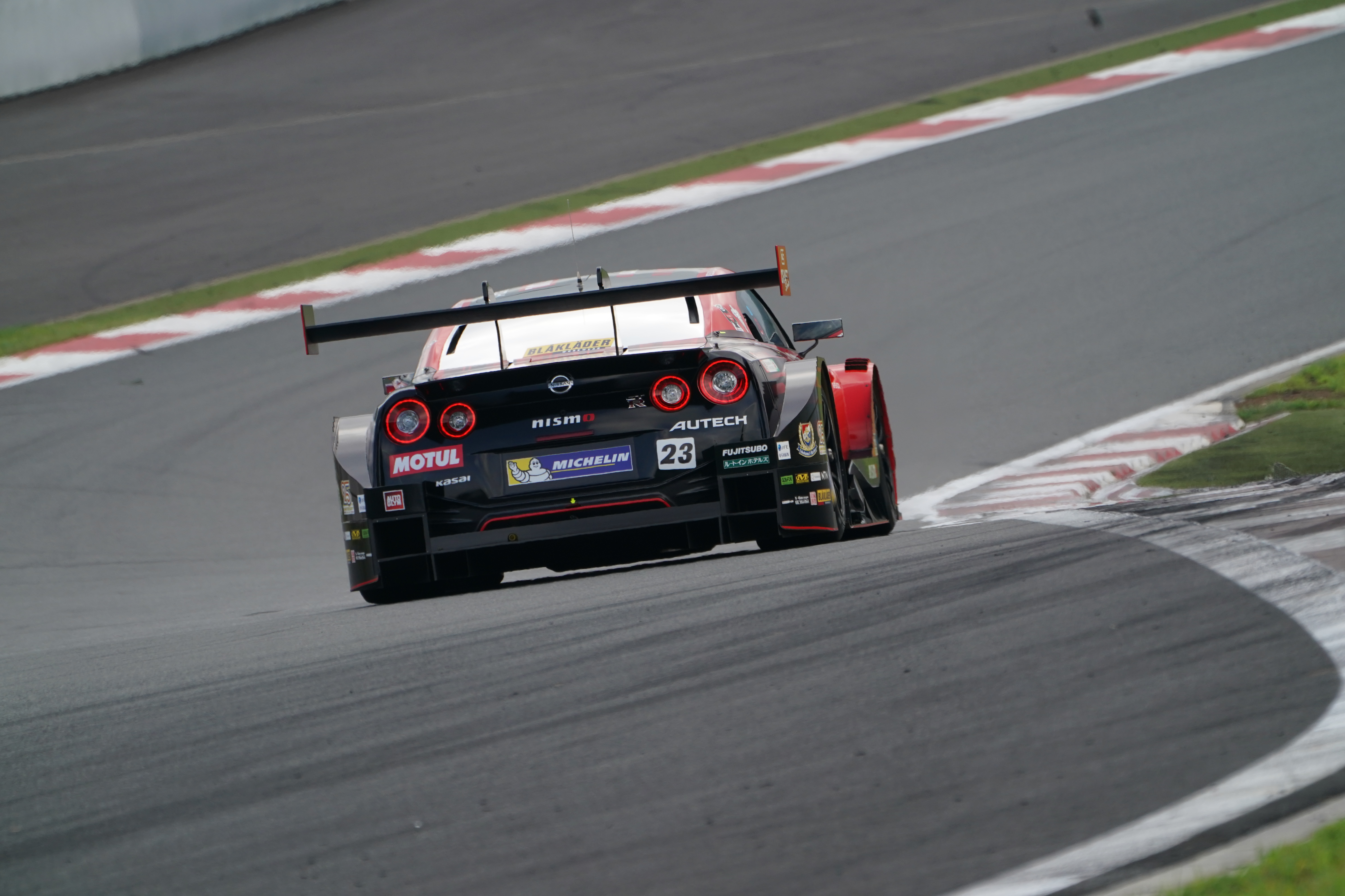 【α9オリジナル画像】FE100-400mm F4.5-5.6 GM OSS＋2Xテレコンバータ　530mm　1/640sec F11　ISO800　－0.7EV補正 クリエイティブスタイル：スタンダード　 ホワイトバランス：オート　D-レンジオプティマイザー：オート　高感度NR：標準　※AFの後追いもなかなか優秀だと思います（2Xテレコンバータ使用）