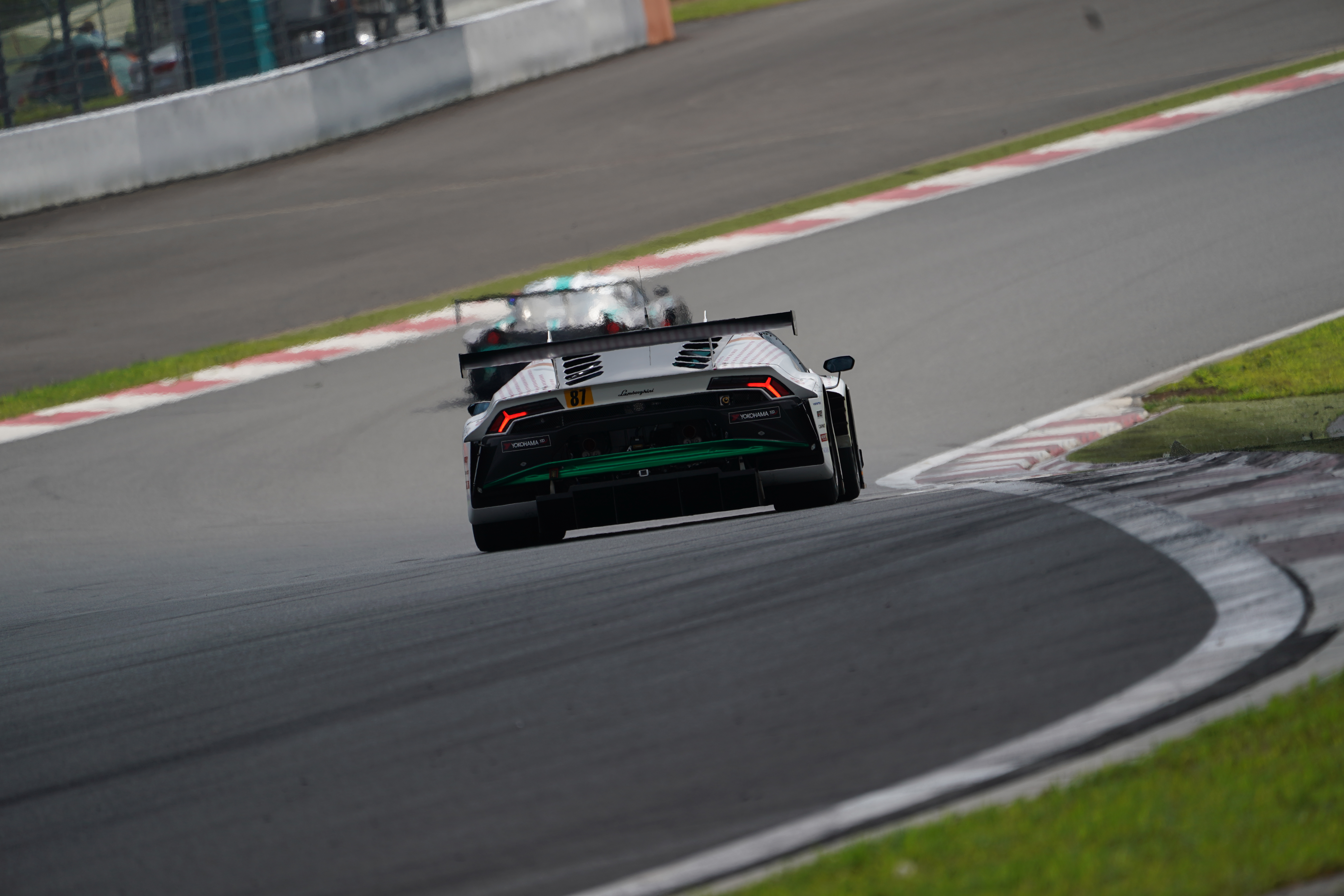 【α9オリジナル画像】FE100-400mm F4.5-5.6 GM OSS　400mm　1/1000sec F5.6　ISO100　クリエイティブスタイル：スタンダード　 ホワイトバランス：オート　D-レンジオプティマイザー：オート　高感度NR：標準　（テレコンバータ未使用）