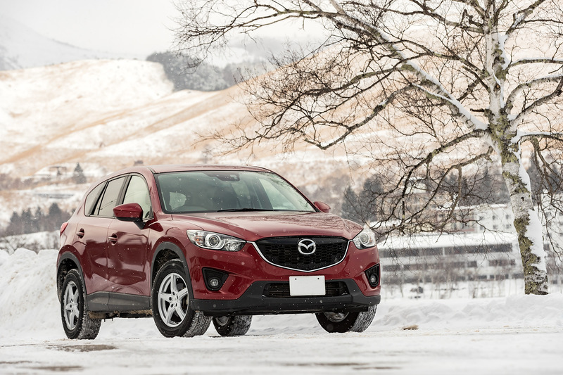 早速、雪国に出かけてきた