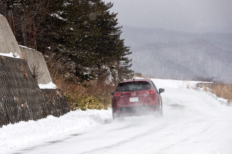 ストレートはもちろんコーナーやブレーキング時にもしっかりとグリップしていて安心感が高い