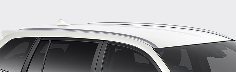 ルーフモール（シルバー塗装）