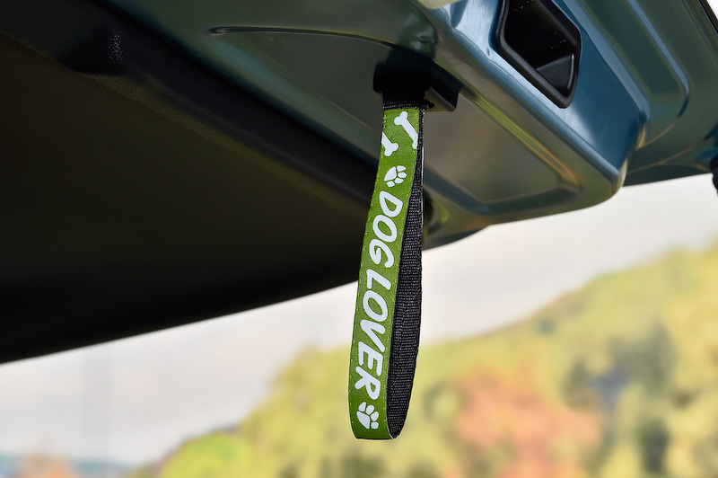 テールゲートストラップもFREED＋ DOG LOVERのロゴ入り