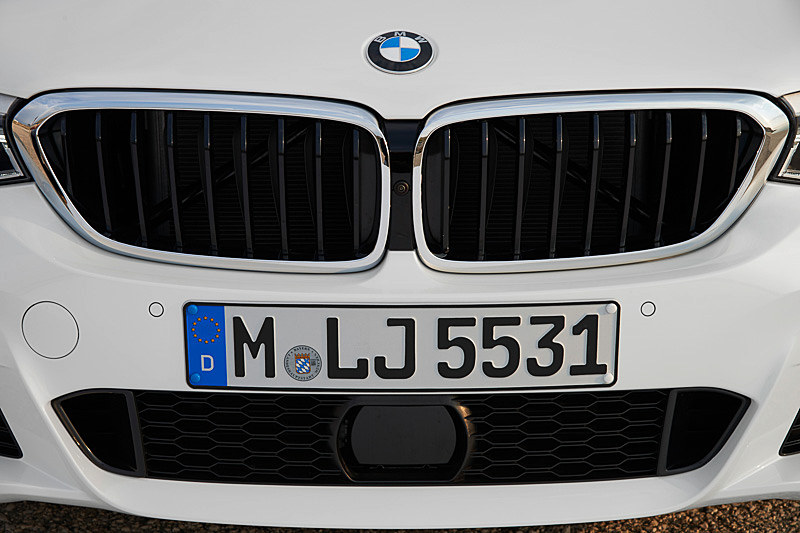 大型のキドニーグリル