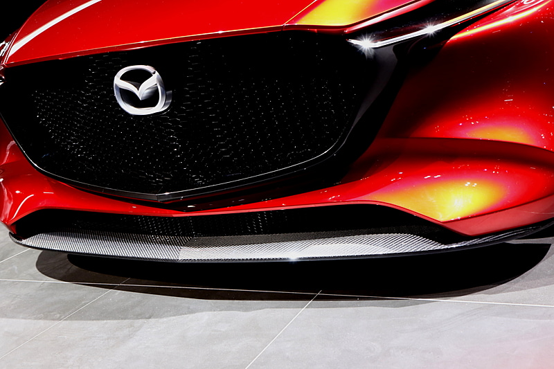 前後バンパーの下側はカーボン調の仕上げ