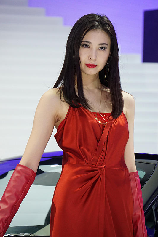 最終日11月5日の東京モーターショー会場