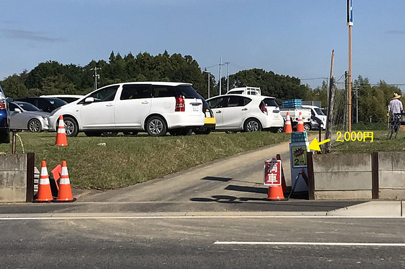 サーキット道路周辺⑩