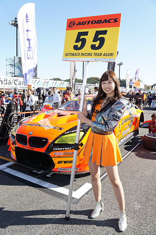 55号車 ARTA BMW M6 GT3（高木真一/S.ウォーキンショー組）