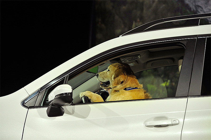 北米で開催された発表会