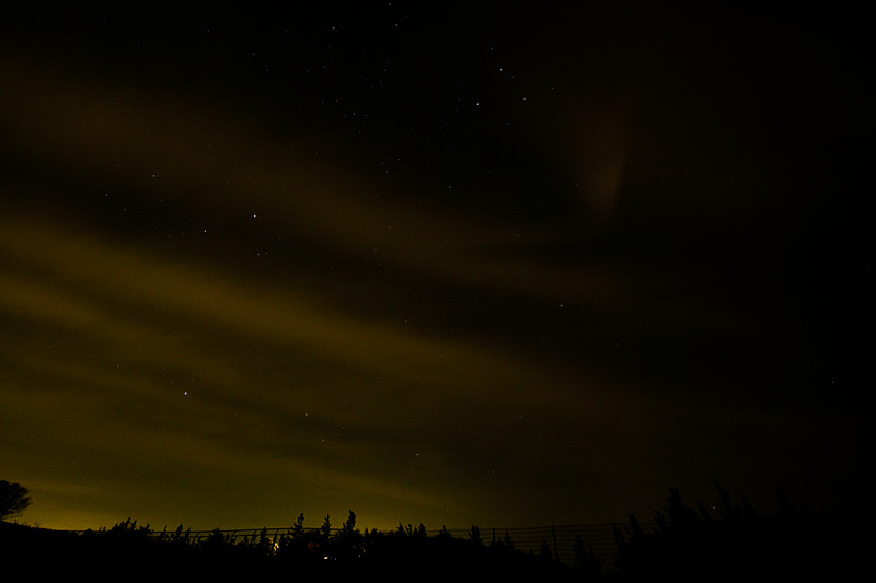 東京では見られない星空に、全員でウットリ……